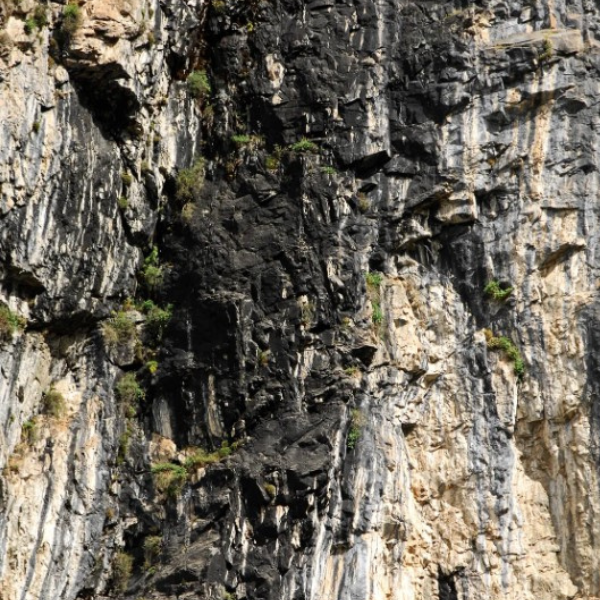 Shilajit